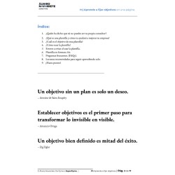 Aprende a fijar objetivos en una página y transforma tu empresa como un consultor profesional