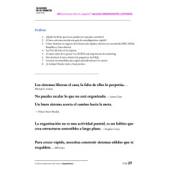 Aprende de ORGANIZACIÓN y SISTEMAS con 20 KPIs y conviértete en un experto