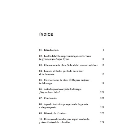 100 LECCIONES de CEOs PARA MEJORAR TU LIDERAZGO: Aprende de los mejores para liderar  con éxito